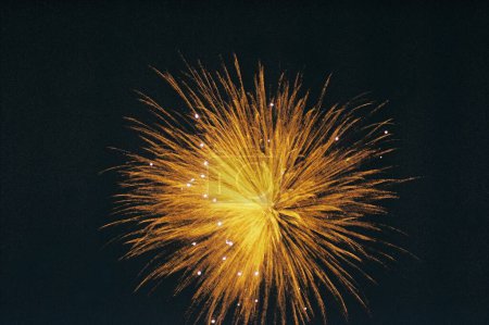 Photo for Fireworks in the dark night sky - Royalty Free Image