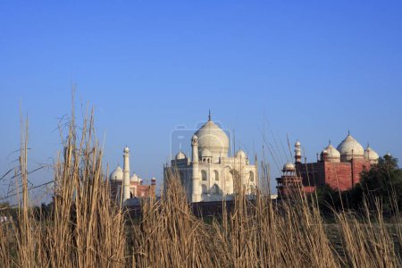 Photo for Taj Mahal Seventh Wonders of World on south bank of Yamuna river , Agra , Uttar Pradesh , India UNESCO World Heritage Site - Royalty Free Image