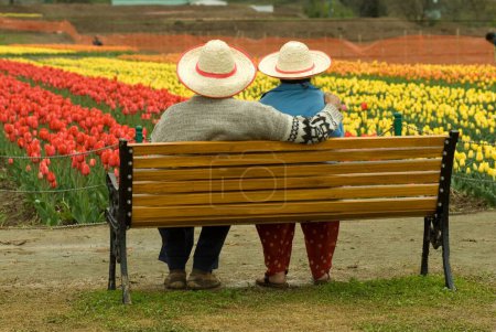 Couple dans le jardin de tulipes Srinagar Jammu-et-Cachemire Inde Asie