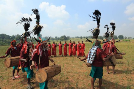 Photo for Bison horn dancers, bastar, chhattisgarh, india, asia - Royalty Free Image