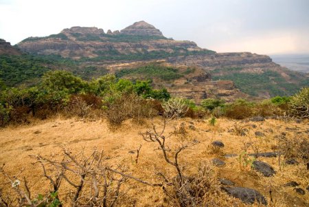 Téléchargez les photos : Montagne en été ; malshej ghat ; Maharashtra ; Inde - en image libre de droit