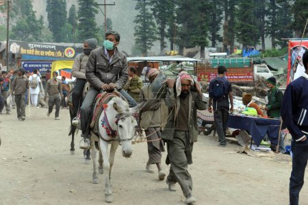 Photo for Pilgrim, amarnath yatra, Jammu Kashmir, India, Asia - Royalty Free Image