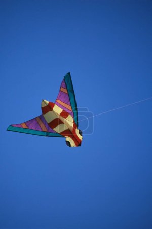 Photo for Kite flying on International Kite Festival, Juhu, Mumbai, Maharashtra, India - Royalty Free Image