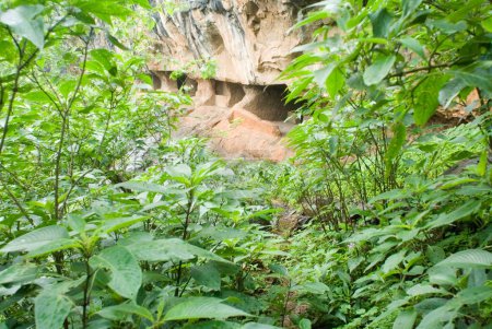 Blick auf die Tanhale-Höhlen, Maharashtra, Indien