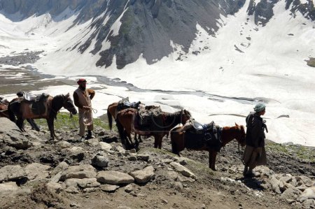 Téléchargez les photos : Man with horse, amarnath yatra, Jammu Kashmir, India, Asia - en image libre de droit