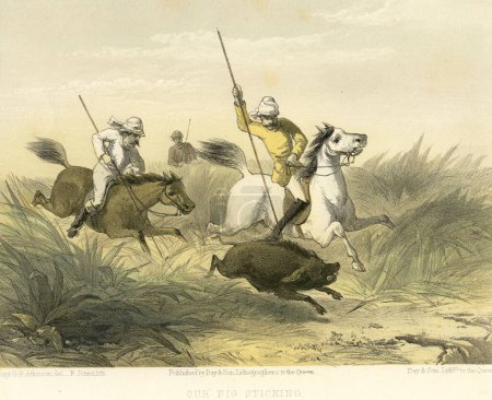Téléchargez les photos : Images indiennes coloniales, notre bâton de cochon, Inde - en image libre de droit
