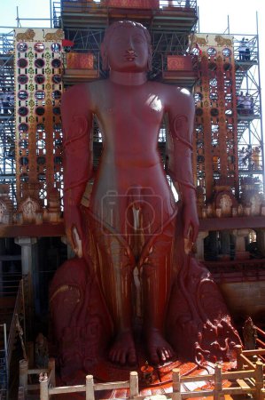 Vermillion cubierto 57 pies de altura estatua del señor Bahubali conocido como Gomateshvara en Mahamasthakabisheka celebración; Sravanabelagola en el distrito de Hassan de Karnataka; India
