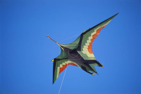 innovative kite , Kite Makara Sankranti Festival , international kite festival , juhu , bombay mumbai , maharashtra , india