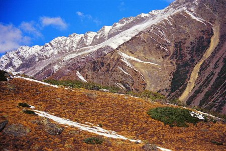 Téléchargez les photos : Patchs de neige fraîche sur les collines herbeuses sur le chemin du glacier Pachhu, Uttarakhand, Inde, Asie - en image libre de droit