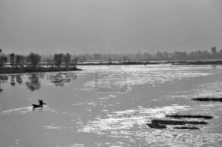 Téléchargez les photos : Kashmiri man paddling boat, Nagin Lake, Dal Lake, Srinagar, Cachemire, Jammu-et-Cachemire, Inde, Asie - en image libre de droit