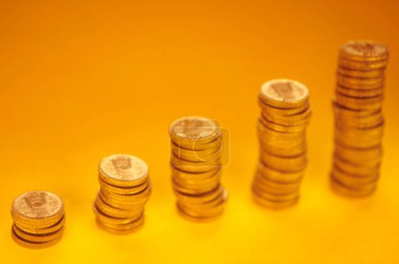 Growth from coins isolated on bright background