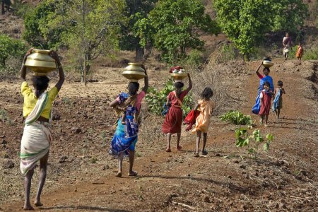 Téléchargez les photos : Pénurie d'eau, dindori, Madhya Pradesh, Inde, Asie - en image libre de droit