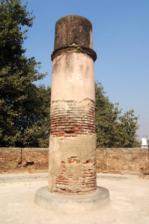 Foto de Ruinas de la torre de vigilancia en el bastión de shanwarwada shaniwarwada, Pune, Maharashtra, India - Imagen libre de derechos