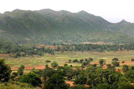 Téléchargez les photos : Vallée d'Araku sur les ghats orientaux ; Vishakhapatnam ; Andhra Pradesh ; Inde - en image libre de droit