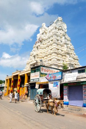 Foto de Ricamente decorado Gopuram de Ramanathswami templo; 24 metros de altura construida en el siglo XVII; Rameswaram; Char Dham; Tamil Nadu; India - Imagen libre de derechos