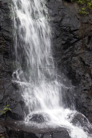 Photo for Milky waterfall Malshej Ghat Thane Maharashtra India Asia - Royalty Free Image