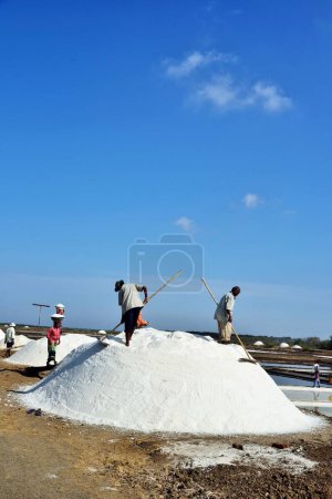 Photo for People working at salt pans, Chharwada, Valsad, Gujarat, India, Asia - Royalty Free Image