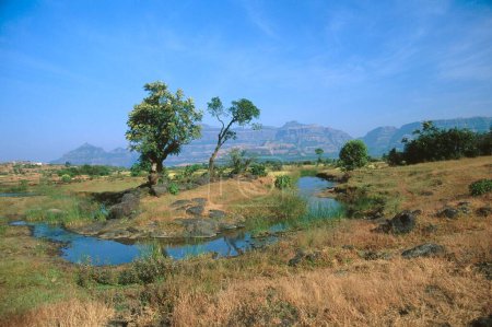 Téléchargez les photos : Pond village watering place , malshej ghat , maharashtra , india - en image libre de droit