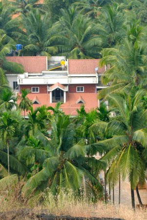 Photo for Bungalow surrounded by coconut trees at Karkal district ; Udupi ; South Kanara ; Karnataka ; India - Royalty Free Image