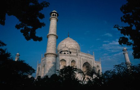 Taj mahal scene from with its own garden  Seventh Wonder of The World ; Agra ; Uttar Pradesh ; India 