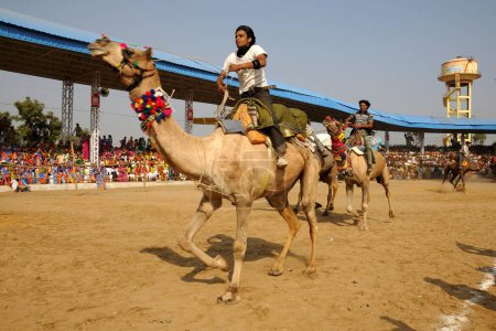 Téléchargez les photos : Courses de chameaux à la foire de Pushkar, Rajasthan, Inde - en image libre de droit