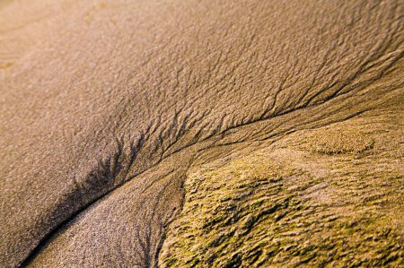 Téléchargez les photos : Courbe créative et forme sable motif texture photographie d'art ; Aksa plage ; Malad ; Bombay Mumbai ; Maharashtra ; Inde - en image libre de droit
