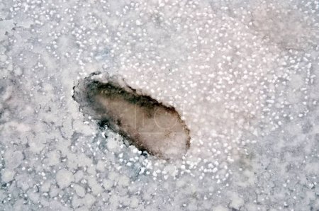 Fußspuren in Salzresten in der Thar-Wüste, Bhuj, Kutch, Gujarat, Indien
