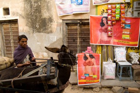 Téléchargez les photos : Scène de rue à Shekhawati, Rajasthan, Inde - en image libre de droit
