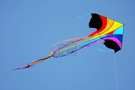 Photo for Kite festival, Surat, Gujarat, India, Asia - Royalty Free Image
