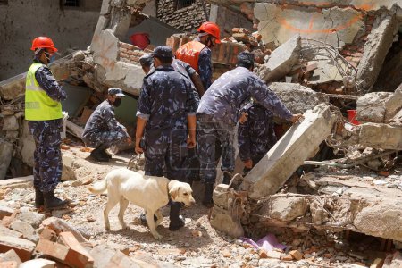 Téléchargez les photos : Des policiers fouillent des cadavres, tremblement de terre, népal, asie - en image libre de droit
