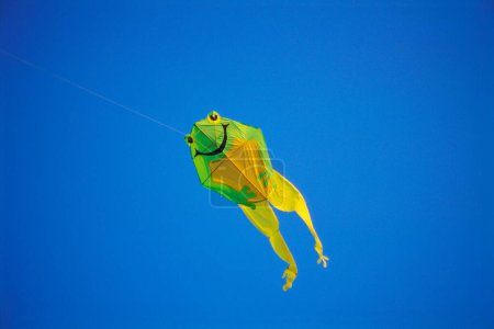 fliegender Frosch, innovativer Drachen, Kite Makara Sankranti Festival, internationales Drachenfest, juhu, bombay mumbai, maharashtra, Indien