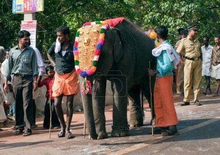 Photo for Caparisoned elephant and mahout, Kerala, India - Royalty Free Image