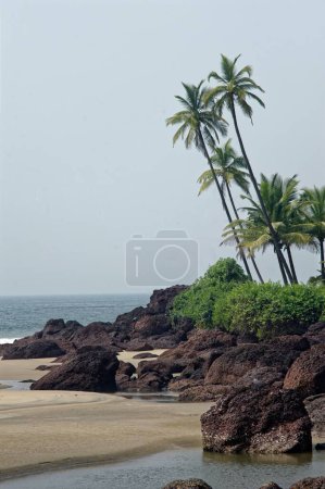 Foto de Playa de Khavane, sindhudurg, Maharashtra, India, Asia - Imagen libre de derechos