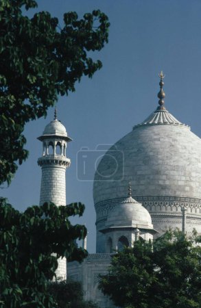Téléchargez les photos : Dôme de Taj mahal Septième merveille du monde ; Agra ; Uttar Pradesh ; Inde - en image libre de droit