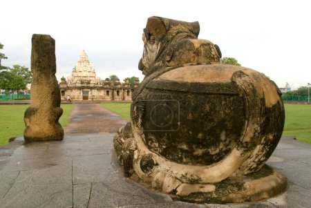 Nandi vor dem Kailasanatha-Tempel aus Sandsteinen, erbaut von Pallava-König Narasimhavarman & Sohn Mahendra im 8. Jahrhundert in Kanchipuram; Tamil Nadu; Indien
