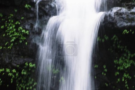 Photo for View of waterfall at Malshej ghat, Maharashtra, India, Asia - Royalty Free Image