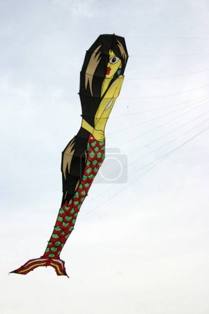 Kite festival ; Makara Sankranti Festival celebrated with kite flying 14th January ; Bombay Mumbai ; Maharashtra ; India