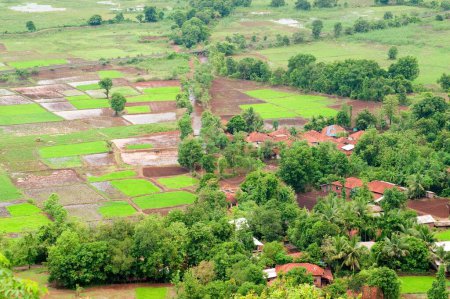 Luftaufnahme von dichtem Grün mit Häusern, Chiplun, Ratnagiri, Maharashtra, Indien 