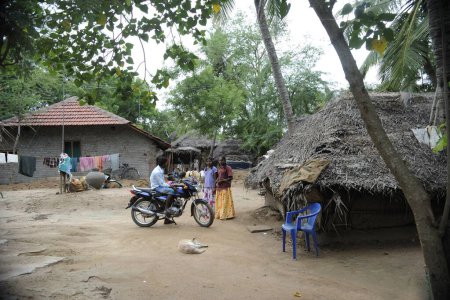 Téléchargez les photos : Village scene in Thanjavur, Tamil Nadu, India - en image libre de droit