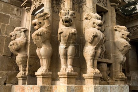Téléchargez les photos : Statues de Yali ; temple Kailasanatha en grès construit par le roi Pallava Narasimhavarman & son Mahendra huit siècle à Kanchipuram ; Tamil Nadu ; Inde - en image libre de droit