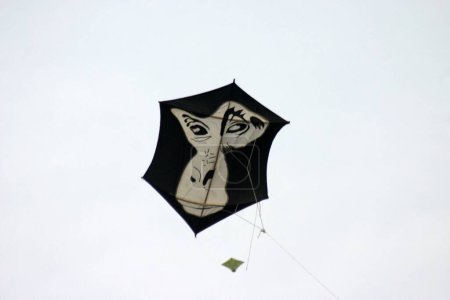 Kite festival ; Makara Sankranti is celebrated with kite flying on 14th January ; Bombay Mumbai ; Maharashtra ; India