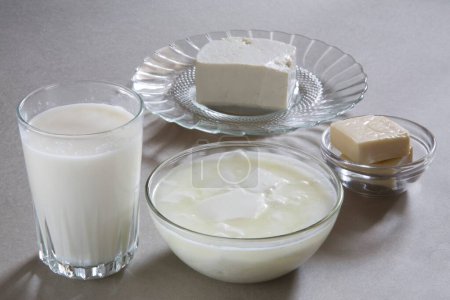 Leche cuajada yogurt dahi cottage cheese paneer and cheese made from milk or dairy product, India
