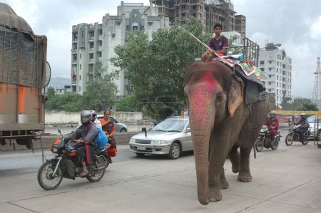 Téléchargez les photos : Éléphant avec Mahut sur l'autoroute express est près de Mulund - en image libre de droit