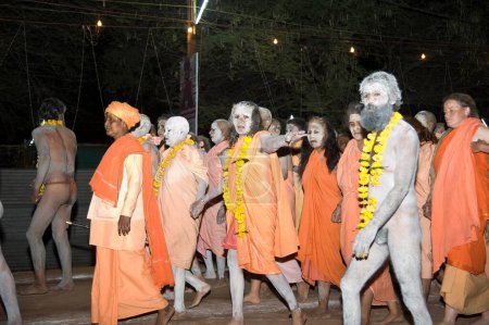 Photo for Naga sadhvis and sadhu going to take holy dip, kumbh mela, madhya pradesh, india, asia - Royalty Free Image