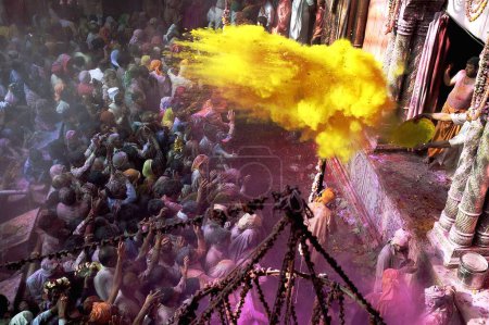 Foto de Gulal de color amarillo lanzado a los devotos en el templo como Prasad del Señor Krishna, celebraciones del festival Holi en el templo Banke Bihari, Vrindavan, Uttar Pradesh, India - Imagen libre de derechos
