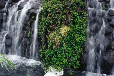 Photo for Artificial waterfall and greenery , shirdi , maharashtra , india - Royalty Free Image
