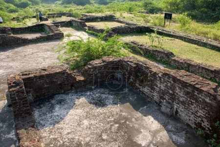 UNESCO world heritage Champaner Pavagadh ; excavations by M S University of Baroda between 1970-1975 brought to light Amir Manzil Complex ; Champaner ; Panchmahals district ; Gujarat state ; India ; Asia 