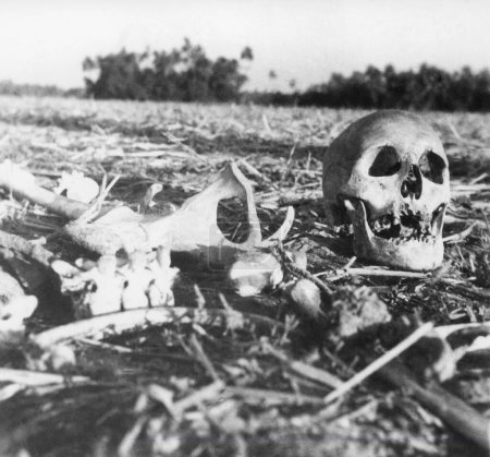 Téléchargez les photos : Un squelette humain au Bengale oriental de Noakhali après les émeutes entre hindous et musulmans, novembre 1946, Inde - en image libre de droit
