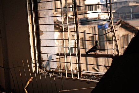 Téléchargez les photos : Fenêtres cassées du centre communautaire juif de la maison nariman par des terroristes moudjahidines du deccan attentat à Bombay Mumbai, Maharashtra, Inde 17 février 2009 - en image libre de droit