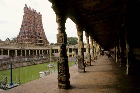 Téléchargez les photos : Réservoir de lotus doré et tour sud dans le temple Sri Meenakshi, Madurai, Tamil Nadu, Inde - en image libre de droit